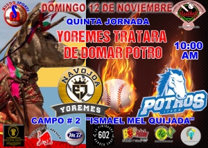 YOREMES TRATARA DE DOMAR POTRO